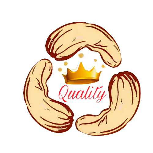 VisionaryCreations Pvt Ltd